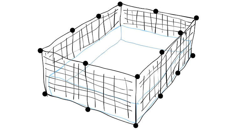 What Cage is Best for Guinea Pigs