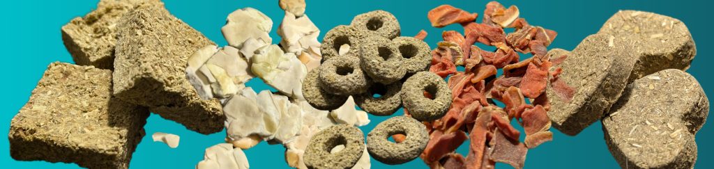 Image of various treats for guinea pigs that we recommend including pea flakes, nibble rings, carrots flakes, oxbow cookies, and healthy Snackers.