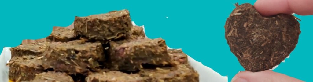 Image of homemade cranberry hay cookie treats for guinea pigs